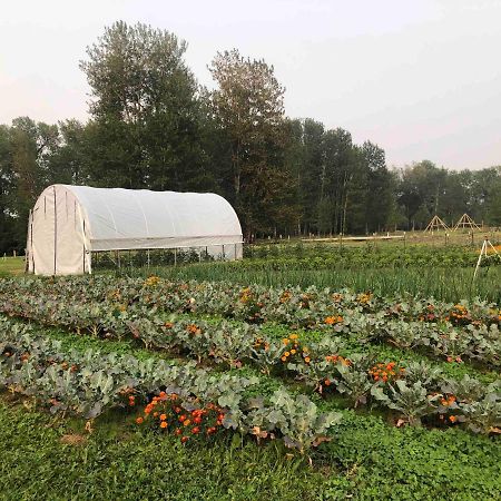 Bodhi Farms Hotel Боузман Екстериор снимка