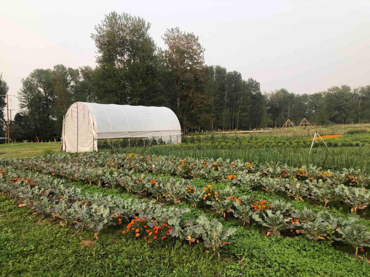 Bodhi Farms Hotel Боузман Екстериор снимка